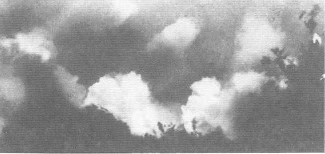 Иллюстрация к книге — Восточный фронт. Черкассы. Тернополь. Крым. Витебск. Бобруйск. Броды. Яссы. Кишинев. 1944 [i_037.jpg]