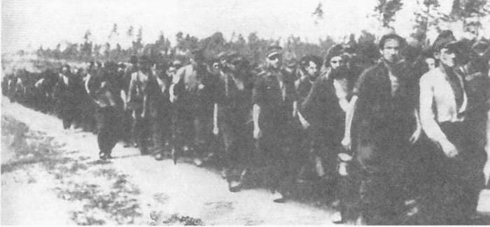 Иллюстрация к книге — Восточный фронт. Черкассы. Тернополь. Крым. Витебск. Бобруйск. Броды. Яссы. Кишинев. 1944 [i_043.jpg]