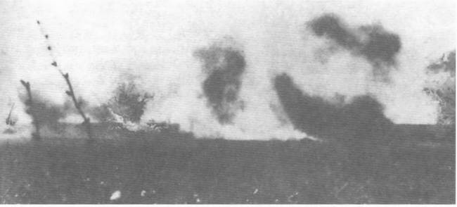 Иллюстрация к книге — Восточный фронт. Черкассы. Тернополь. Крым. Витебск. Бобруйск. Броды. Яссы. Кишинев. 1944 [i_054.jpg]