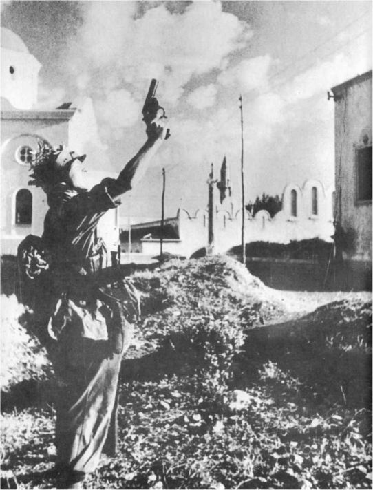 Иллюстрация к книге — Wehrmacht. Сухопутные войска III Рейха [i_051.jpg]