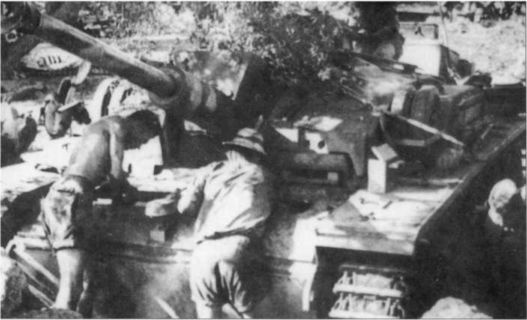 Иллюстрация к книге — Wehrmacht. Сухопутные войска III Рейха [i_060.jpg]