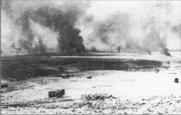 Иллюстрация к книге — Wehrmacht. Сухопутные войска III Рейха [i_075.jpg]