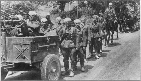 Иллюстрация к книге — Wehrmacht. Сухопутные войска III Рейха [i_095.jpg]