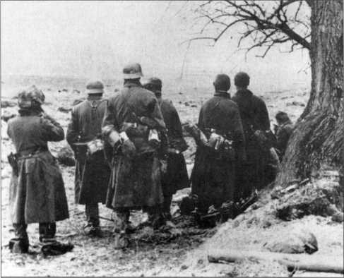 Иллюстрация к книге — Wehrmacht. Сухопутные войска III Рейха [i_111.jpg]