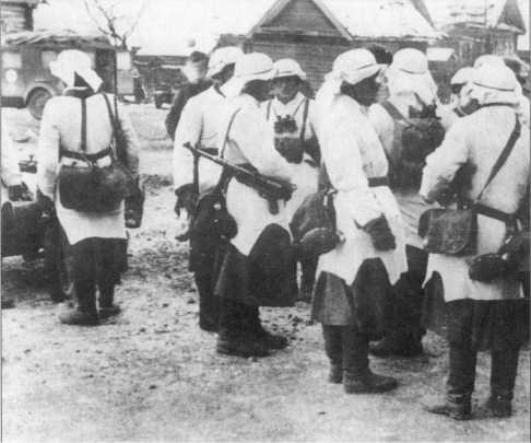 Иллюстрация к книге — Wehrmacht. Сухопутные войска III Рейха [i_113.jpg]