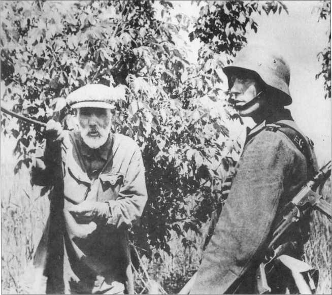 Иллюстрация к книге — Wehrmacht. Сухопутные войска III Рейха [i_135.jpg]