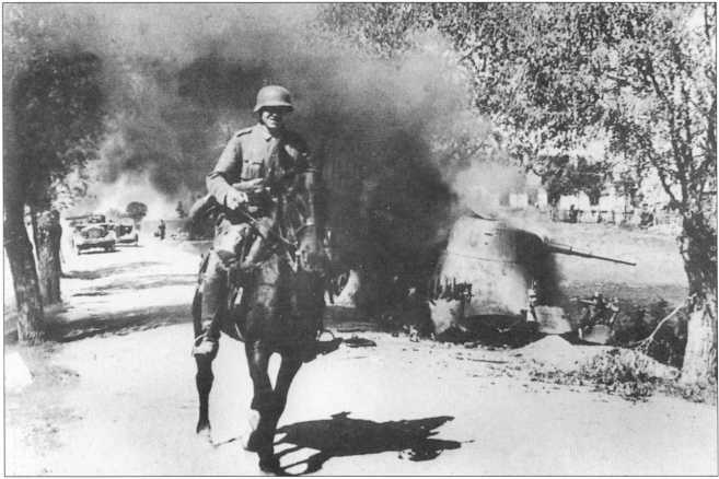 Иллюстрация к книге — Wehrmacht. Сухопутные войска III Рейха [i_145.jpg]