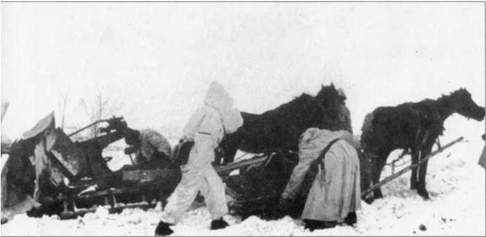 Иллюстрация к книге — Wehrmacht. Сухопутные войска III Рейха [i_160.jpg]