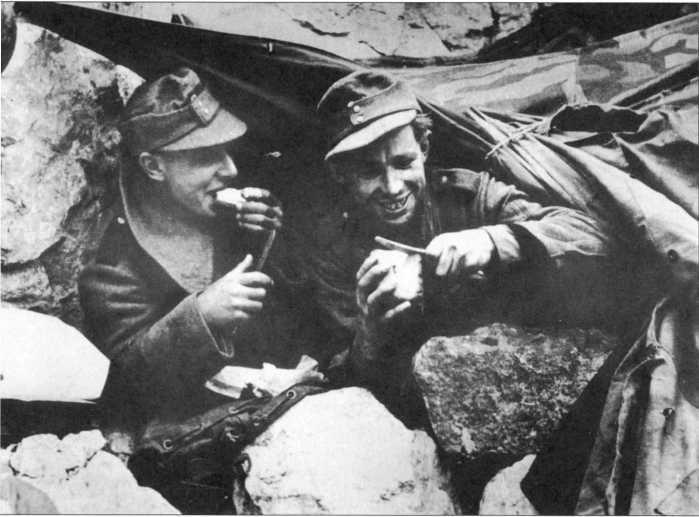 Иллюстрация к книге — Wehrmacht. Сухопутные войска III Рейха [i_185.jpg]