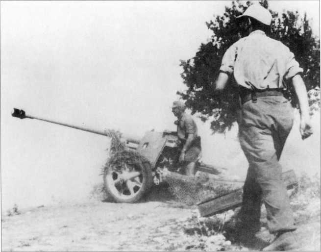 Иллюстрация к книге — Wehrmacht. Сухопутные войска III Рейха [i_189.jpg]