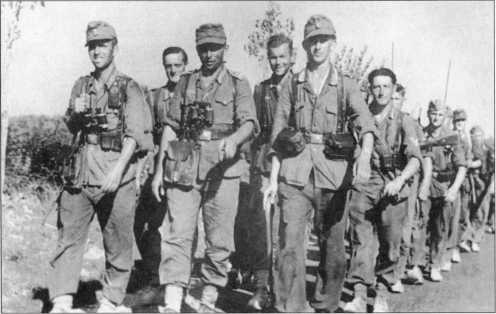 Иллюстрация к книге — Wehrmacht. Сухопутные войска III Рейха [i_190.jpg]