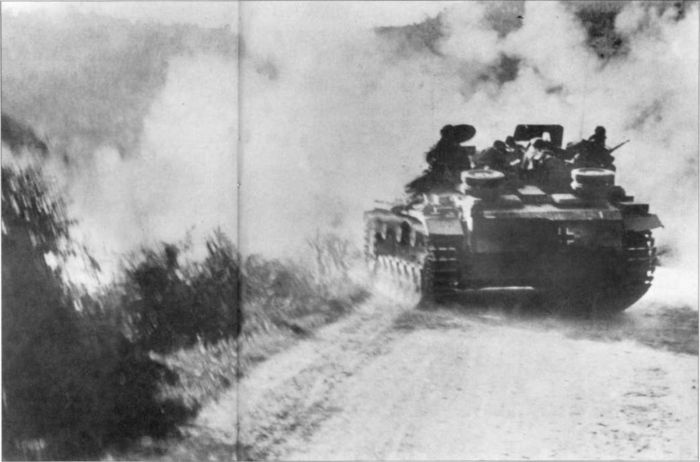 Иллюстрация к книге — Wehrmacht. Сухопутные войска III Рейха [i_201.jpg]