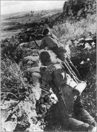 Иллюстрация к книге — Wehrmacht. Сухопутные войска III Рейха [i_202.jpg]