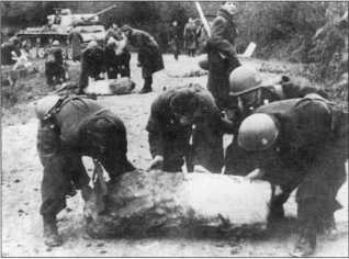 Иллюстрация к книге — Wehrmacht. Сухопутные войска III Рейха [i_203.jpg]