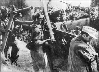 Иллюстрация к книге — Wehrmacht. Сухопутные войска III Рейха [i_219.jpg]