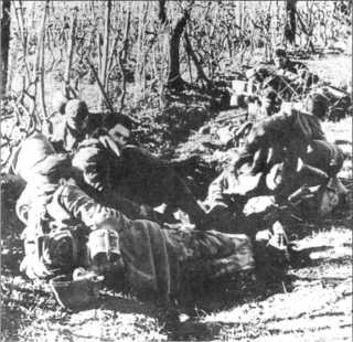 Иллюстрация к книге — Wehrmacht. Сухопутные войска III Рейха [i_227.jpg]