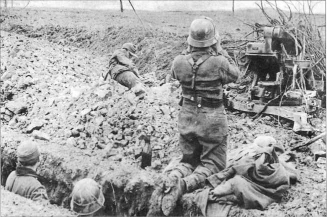 Иллюстрация к книге — Wehrmacht. Сухопутные войска III Рейха [i_230.jpg]