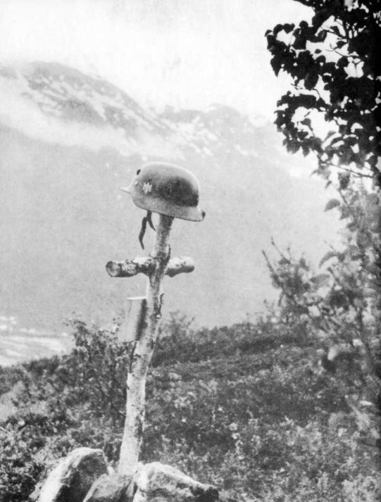 Иллюстрация к книге — Wehrmacht. Сухопутные войска III Рейха [i_236.jpg]