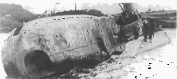 Иллюстрация к книге — Безмолвная служба [i_015.jpg]