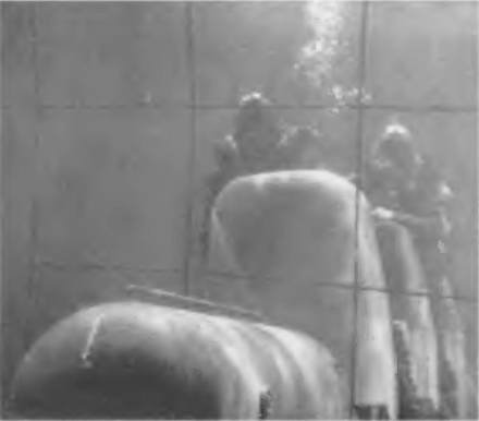 Иллюстрация к книге — Безмолвная служба [i_026.jpg]