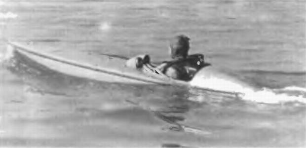 Иллюстрация к книге — Безмолвная служба [i_027.jpg]