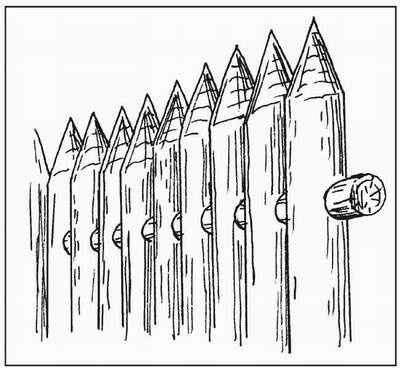 Иллюстрация к книге — Русские крепости и осадная техника VIII-XVII вв. [i_005.jpg]