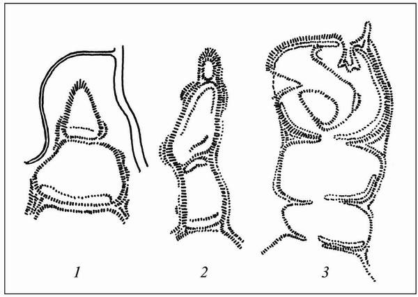 Иллюстрация к книге — Русские крепости и осадная техника VIII-XVII вв. [i_008.jpg]