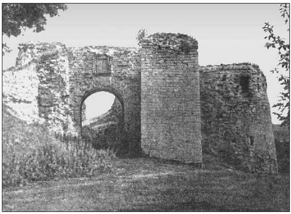 Иллюстрация к книге — Русские крепости и осадная техника VIII-XVII вв. [i_035.jpg]