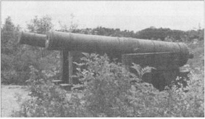 Иллюстрация к книге — Забытые битвы империи [i_023.jpg]