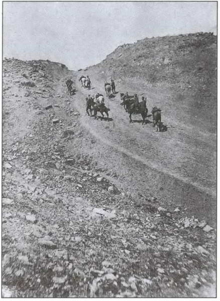 Иллюстрация к книге — Великая война на Кавказском фронте. 1914-1917 гг. [i_025.jpg]
