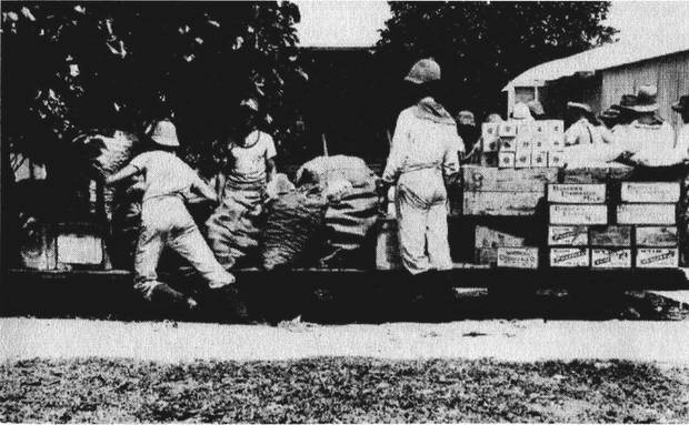 Иллюстрация к книге — Последний джентльмен войны [i_029.jpg]