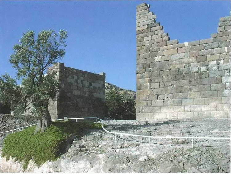 Иллюстрация к книге — Искусство осады. Знаменитые штурмы и осады античности [i_047.jpg]