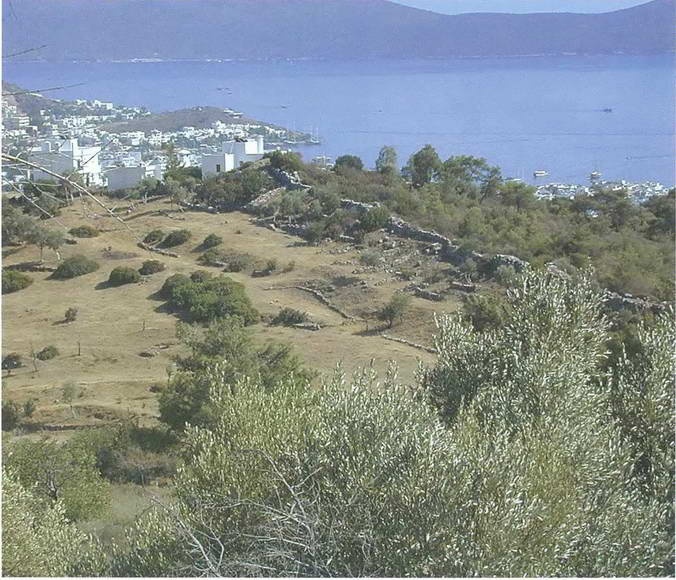 Иллюстрация к книге — Искусство осады. Знаменитые штурмы и осады античности [i_049.jpg]