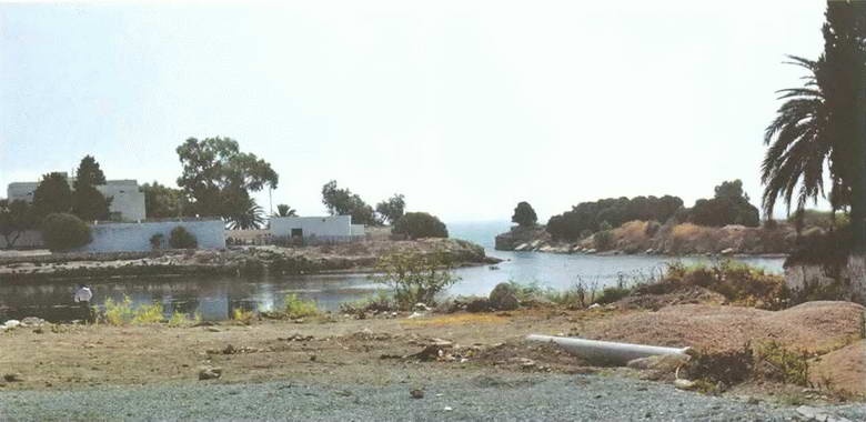 Иллюстрация к книге — Искусство осады. Знаменитые штурмы и осады античности [i_083.jpg]