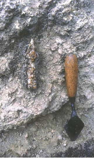 Иллюстрация к книге — Искусство осады. Знаменитые штурмы и осады античности [i_108.jpg]