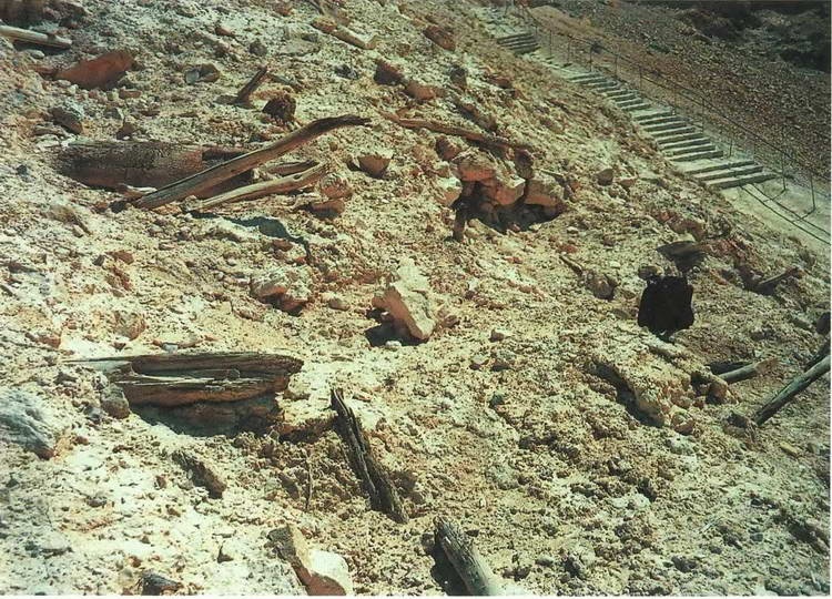 Иллюстрация к книге — Искусство осады. Знаменитые штурмы и осады античности [i_144.jpg]