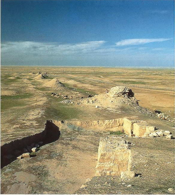 Иллюстрация к книге — Искусство осады. Знаменитые штурмы и осады античности [i_150.jpg]