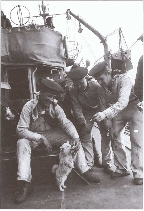 Иллюстрация к книге — Война в Арктике. 1941—1945 [i_005.jpg]