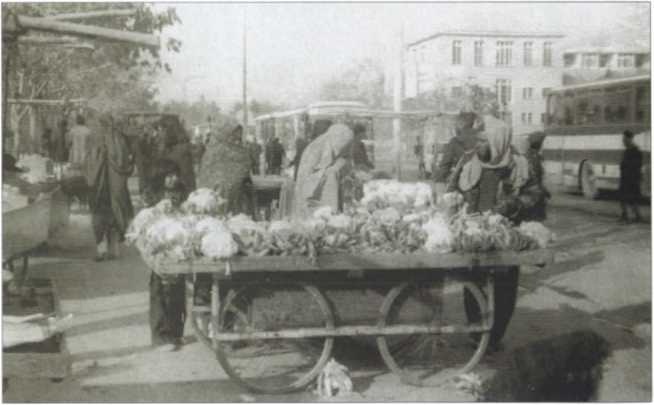 Иллюстрация к книге — "Каскад" и "Омега" [image143.jpg]