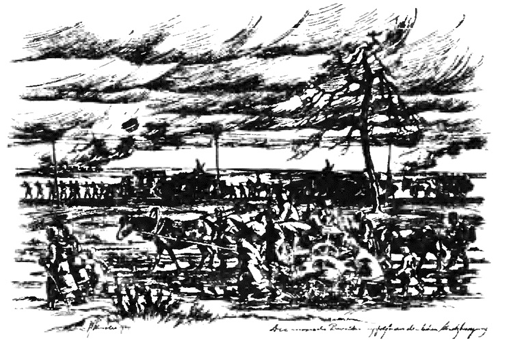 Иллюстрация к книге — Крупнейшее танковое сражение Великой Отечественной. Битва за Орел [i_029.jpg]