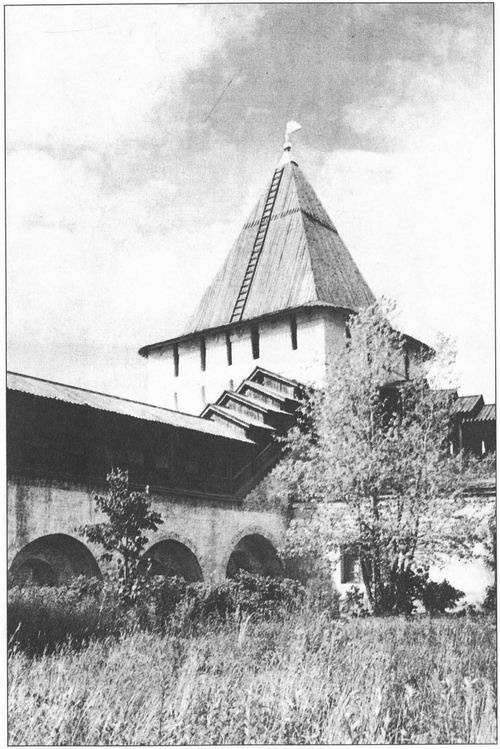 Иллюстрация к книге — Твердыни России. От Новгорода до Порт-Артура [i_008.jpg]