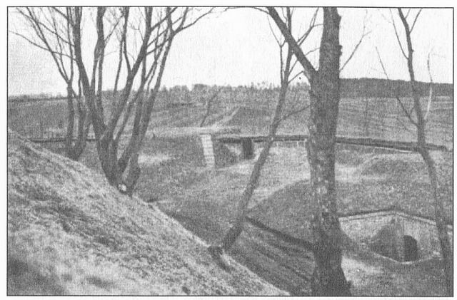 Иллюстрация к книге — Твердыни России. От Новгорода до Порт-Артура [i_027.jpg]