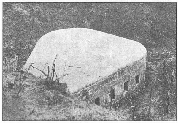 Иллюстрация к книге — Твердыни России. От Новгорода до Порт-Артура [i_028.jpg]