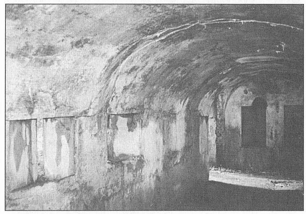 Иллюстрация к книге — Твердыни России. От Новгорода до Порт-Артура [i_031.jpg]