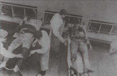 Иллюстрация к книге — "Спасите наши души!". Неизвестные страницы истории советского ВМФ [img7d25.jpg]