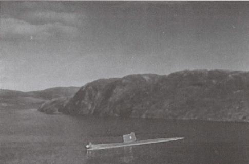 Иллюстрация к книге — "Спасите наши души!". Неизвестные страницы истории советского ВМФ [imgc877.jpg]