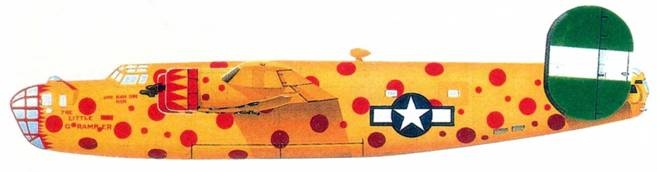 Иллюстрация к книге — Бомбардировщики союзников 1939-1945. Справочник-определитель самолетов [pic_198.jpg]