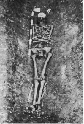 Иллюстрация к книге — Крымская кампания 1854-1856 гг. Восточной войны 1853-1856 гг. Часть 2. Альма [i_133.jpg]