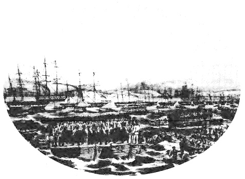 Иллюстрация к книге — Крымская кампания 1854-1856 гг. Восточной войны 1853-1856 гг. Часть 1. Вторжение [i_001.jpg]