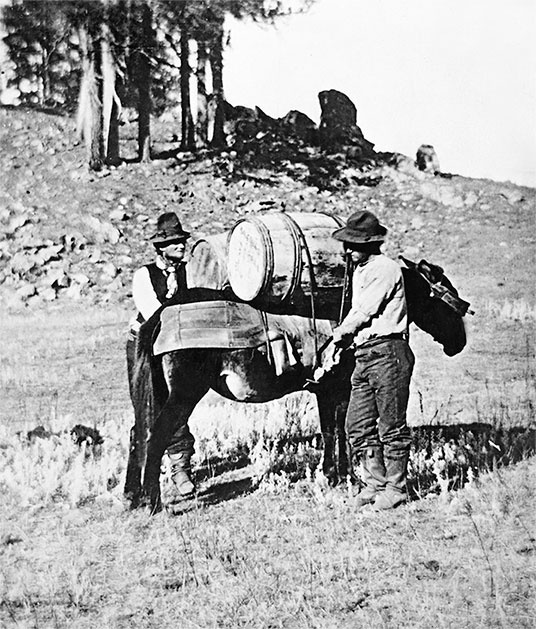 Иллюстрация к книге — Первая энциклопедия Дикого Запада - от A до Z [i_176.jpg]